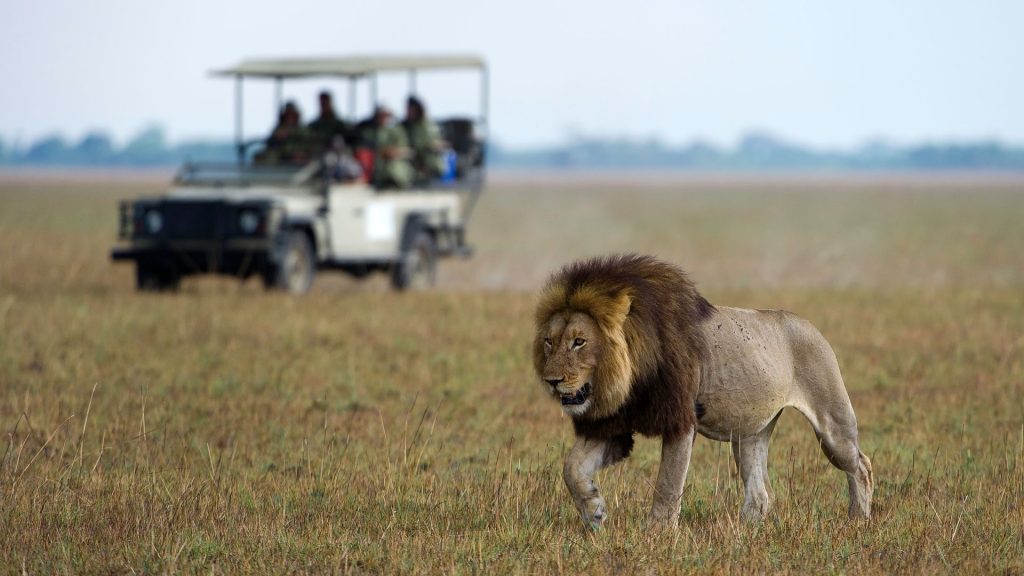 game drive in kafue national park 