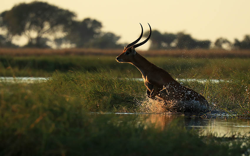 When to Visit kafue national park