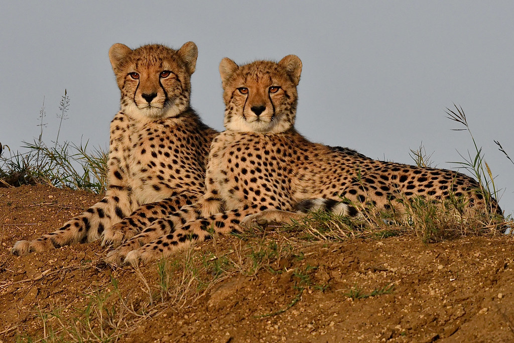 Getting to kafue national park